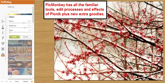 PicMonkey is a very good online Photo Editor